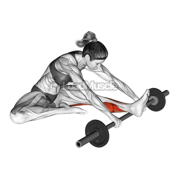 Calf self massage with barbell