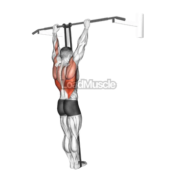 Band Assisted Pull Up