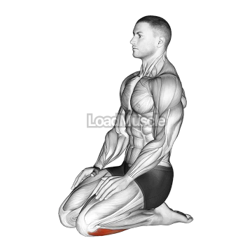 Seated Ankle Stretch