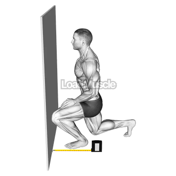 Squats Knee Position
