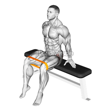 Resistance Band Seated Hip Abduction
