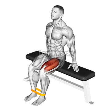 Resistance Band Leg Extension