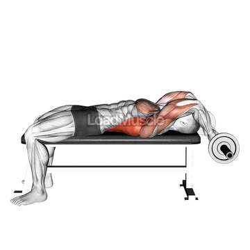 EZ-Bar Lying Bent Arms Pullover