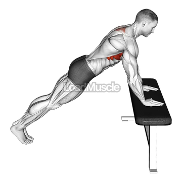 Incline Scapula Push-up