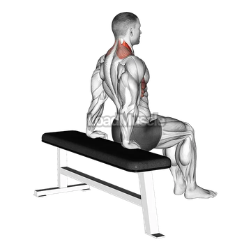 Scapula Dips