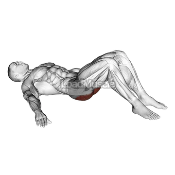 Low Glute Bridge on floor