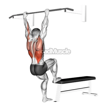 Bench Pull-ups