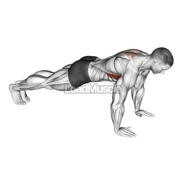 Scapula Push-Up