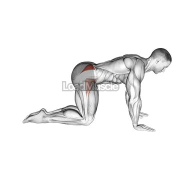 Bent Leg Side Kick (kneeling)