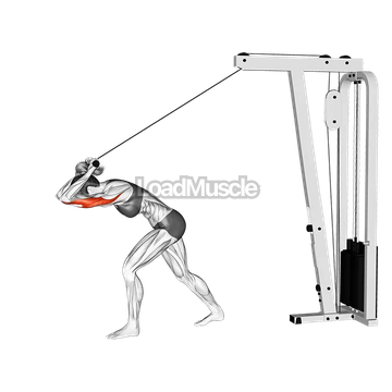 Cable Bar High Pulley Overhead Tricep Extension