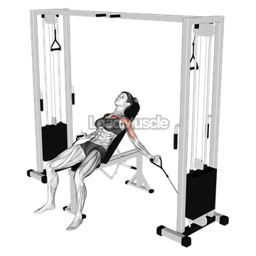 Cable Incline Fly