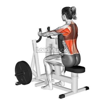 Lever Narrow Grip Seated Row (plate loaded)