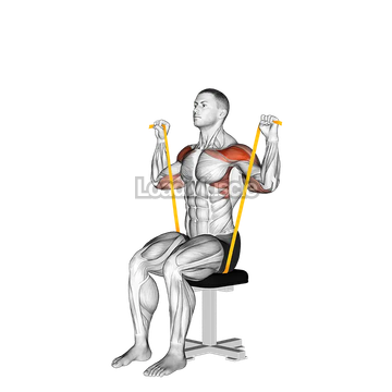 Resistance Band Seated Shoulder Press