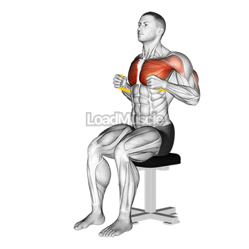 Resistance Band Seated Chest Press