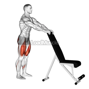 Potty Squat with Support