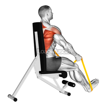 Resistance Band Seated Straight Back Row