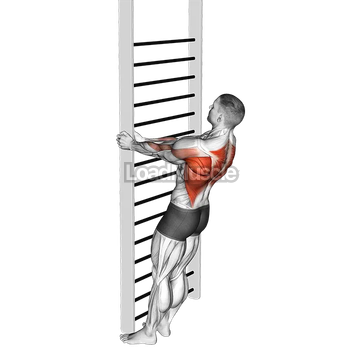 Bodyweight Standing Close-grip Row