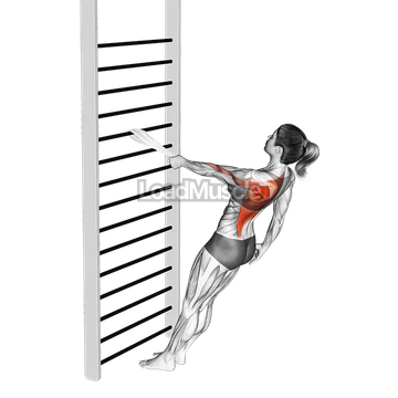 Bodyweight Standing One Arm Row (with towel)