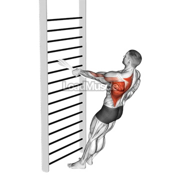 Bodyweight Standing One Arm Row (with towel)