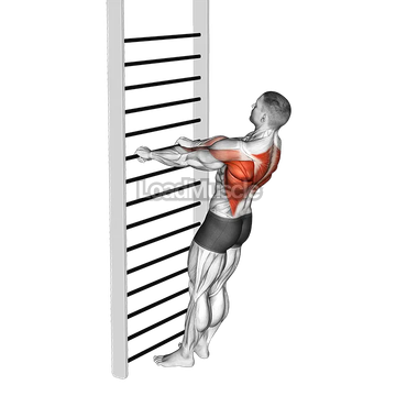 Bodyweight Standing Row
