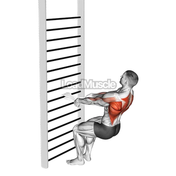 Bodyweight Squatting Row (with towel)