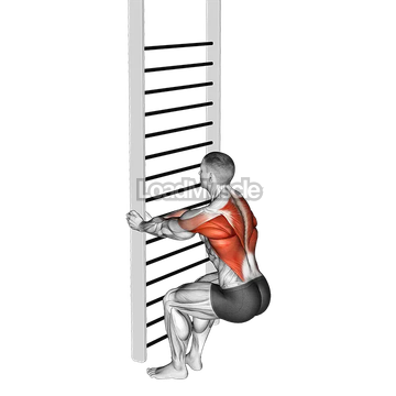 Bodyweight Squatting Row