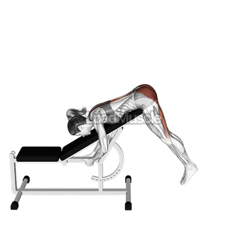 Incline Reverse Hyperextension