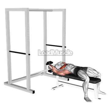 Dumbbell Straight Arm Pullover (with hanging band technique)