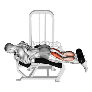 Lever Lying Two-One Leg Curl