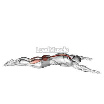 Lying Back Extension