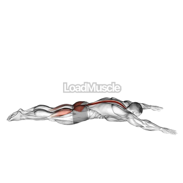 Lying Back Extension with Press