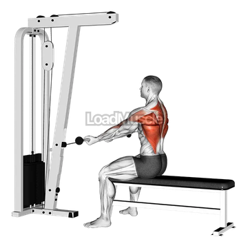 Cable Seated Supine grip Row