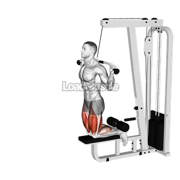 Cable Assisted Inverse Leg Curl