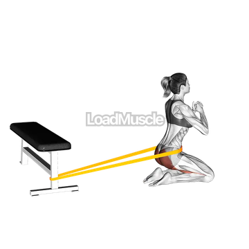 Resistance Band Hip Thrusts on Knees