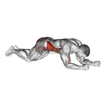 Kneeling Plank Tap Shoulder