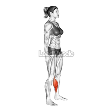 Feet and Ankles Side to Side Stretch