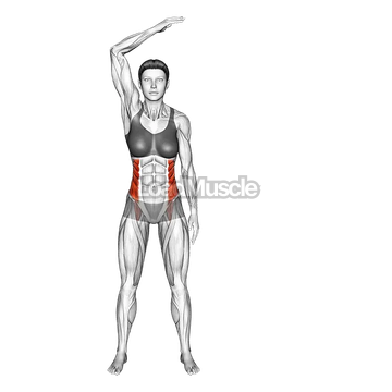 Standing Two Side Bend (bent arm)