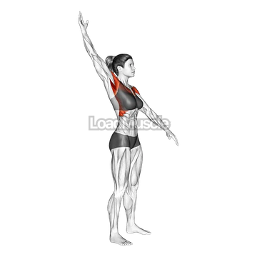 Standing Alternate Arms Circling
