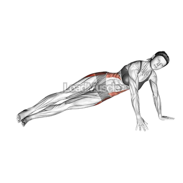 Side Plank Leg raise