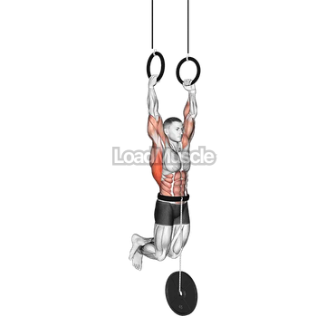 Weighted Muscle-up
