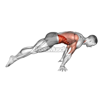 Lean planche