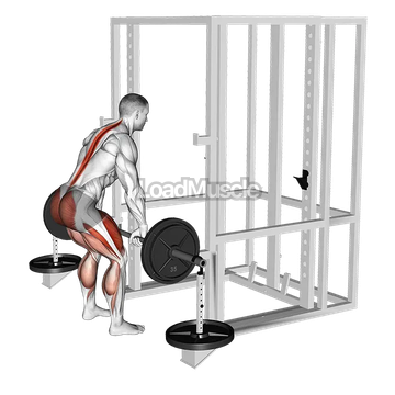 Barbell Weighted Deadlift