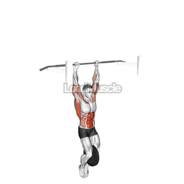 Weighted Muscle-up (on bar)