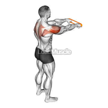 Resistance Band Rear Fly