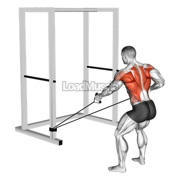 Band Alternate Low Row wtih Twist