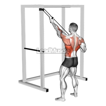 Band Alternate Lat Pulldown with Twist