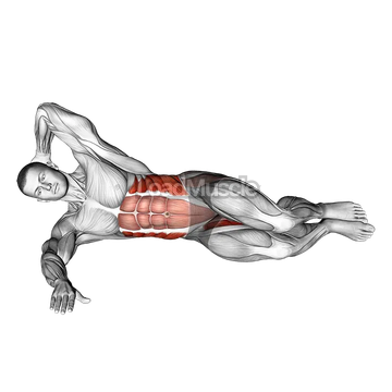 Oblique Crunches with Bent Knee Leg Lift