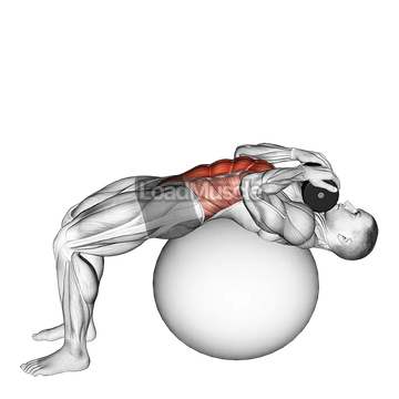 Weighted Stability Ball Crunch (Full range)