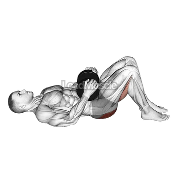 Dumbbell Glute Bridge