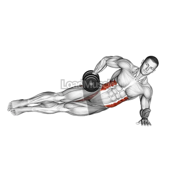 Dumbbell Side Bridge